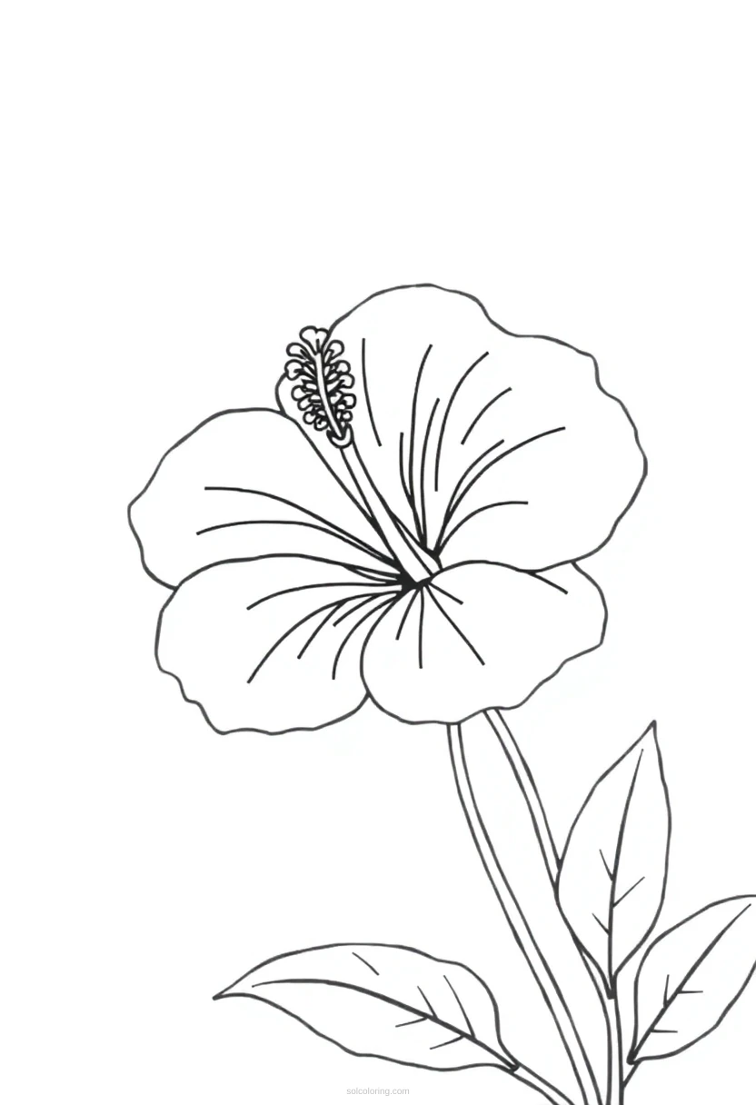 Hibiscus Simple coloring page for kids
