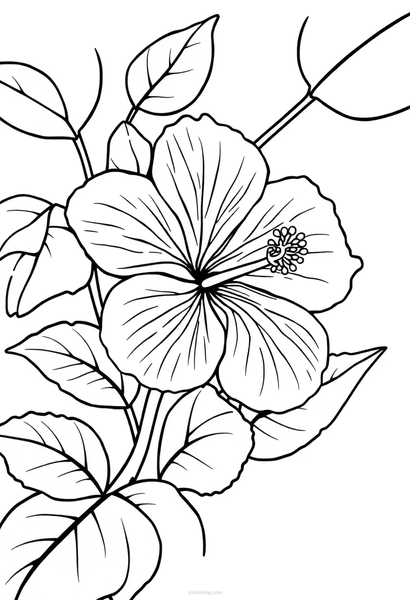 Hibiscus coloring page for kids