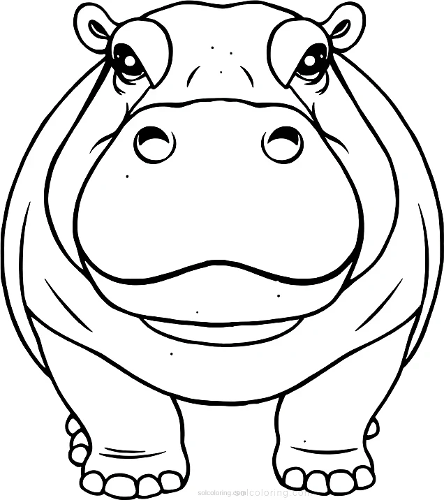 Hippopotamus coloring page for kids