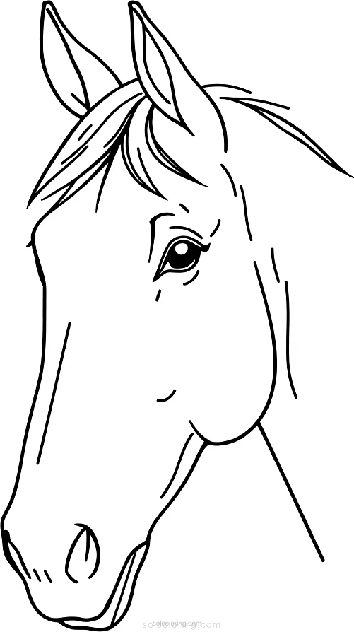 Horse Head Portrait coloring page for kids
