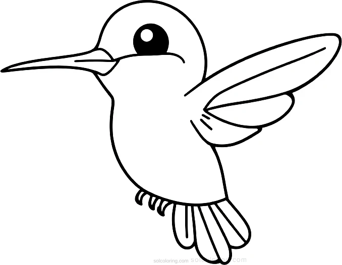Hummingbird coloring page for kids