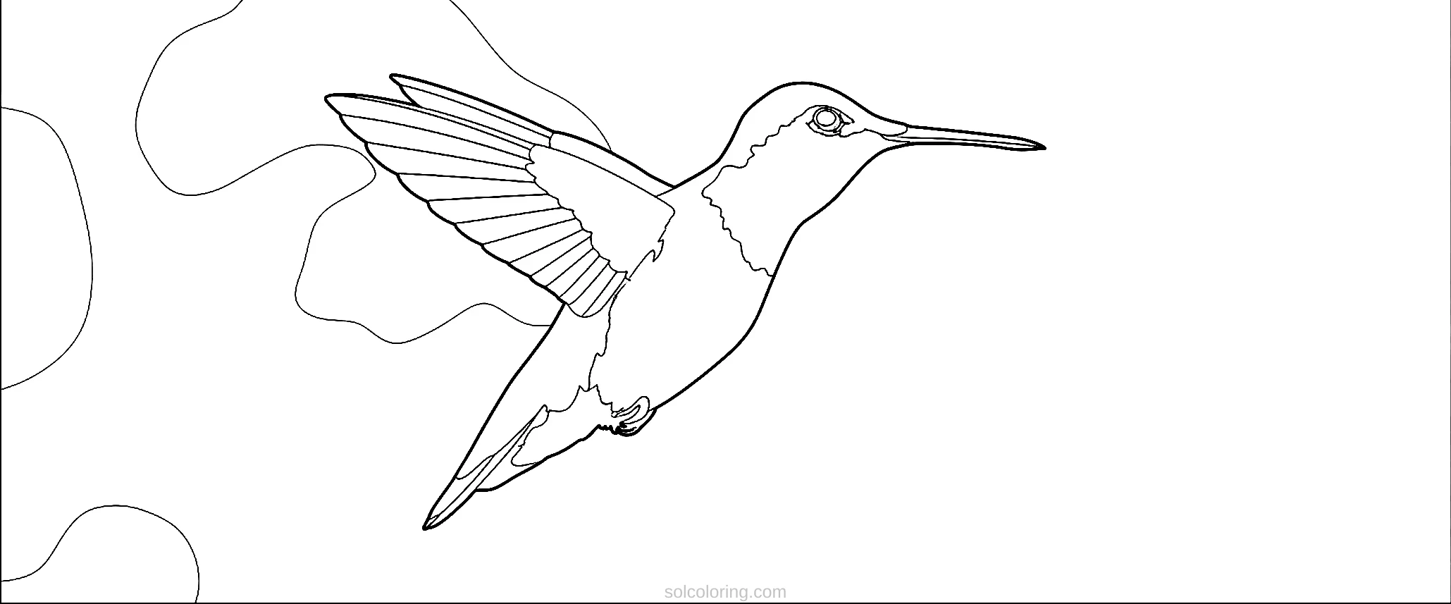 Hummingbird coloring page for kids