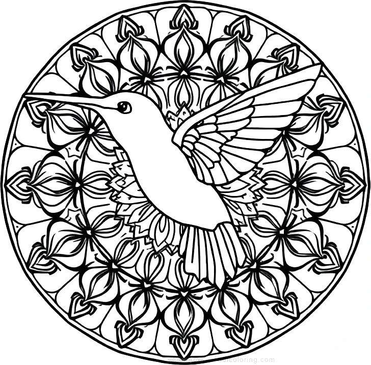 Hummingbird coloring page for kids