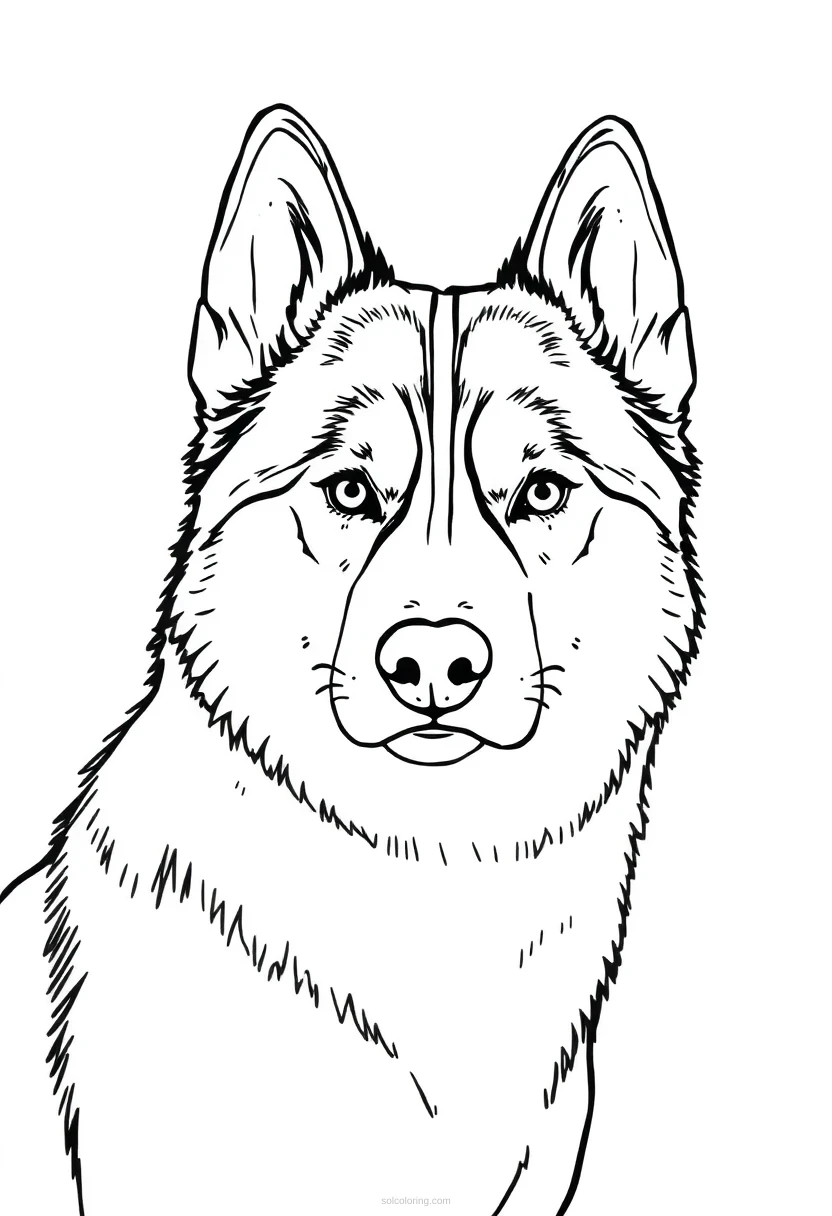 Husky coloring page for kids