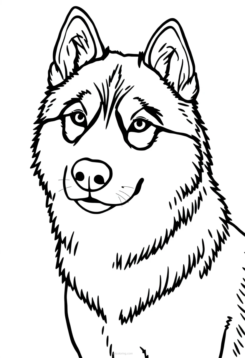 Husky coloring page for kids