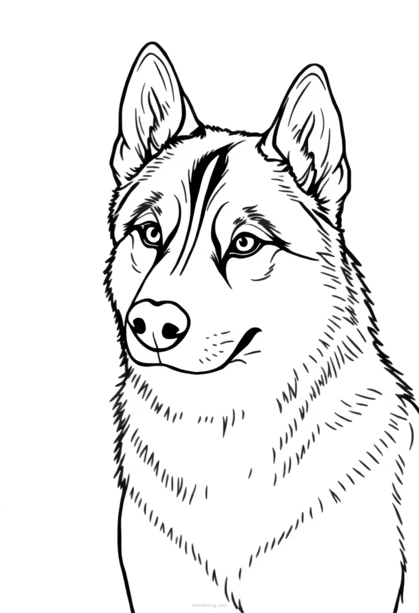 Husky coloring page for kids