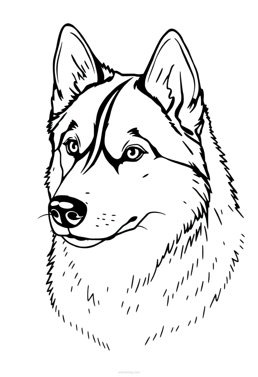 Husky coloring page for kids