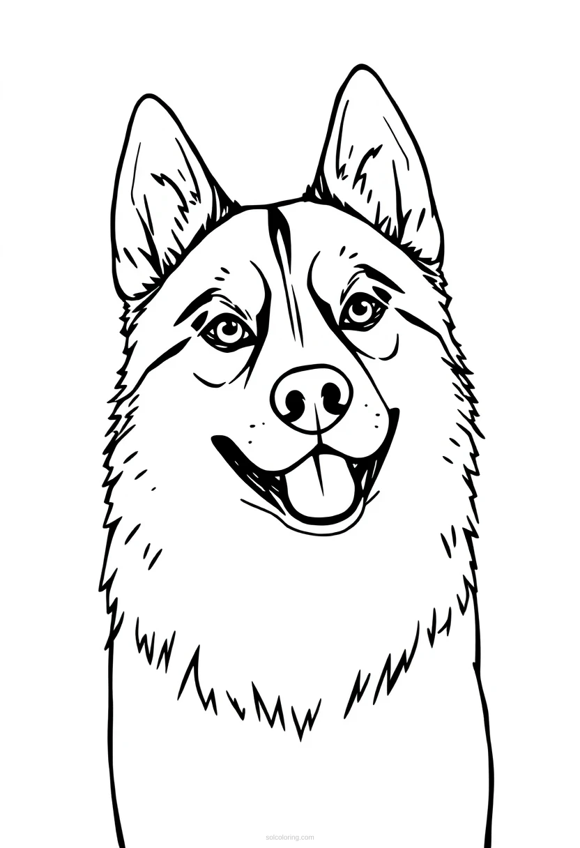 Husky coloring page for kids
