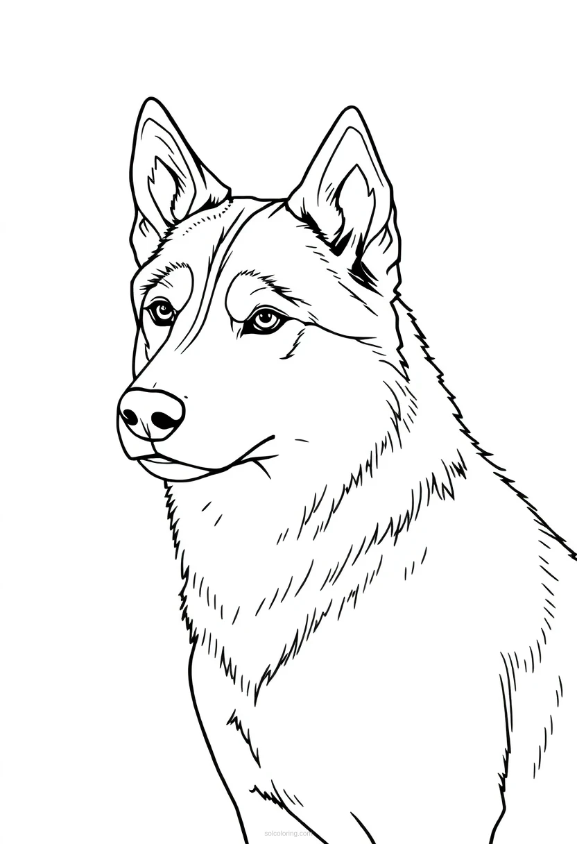 Husky coloring page for kids