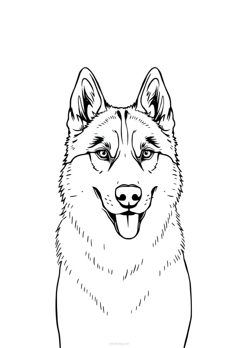 Husky coloring page for kids