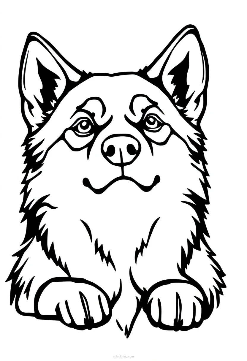 Husky coloring page for kids