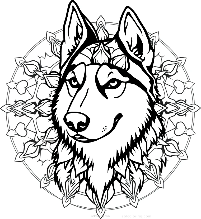 Husky coloring page for kids