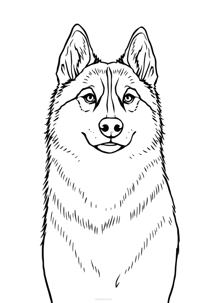 Husky coloring page for kids