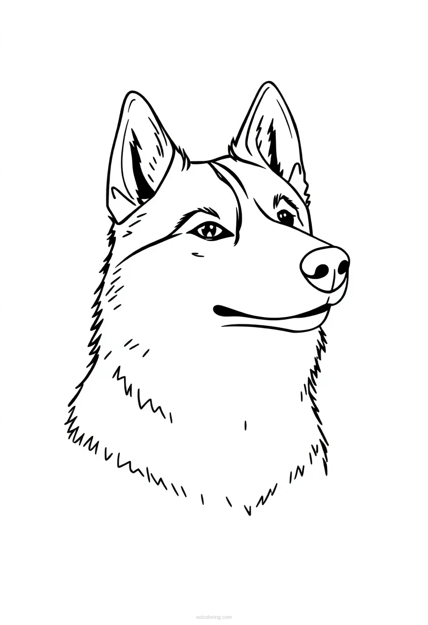 Husky coloring page for kids