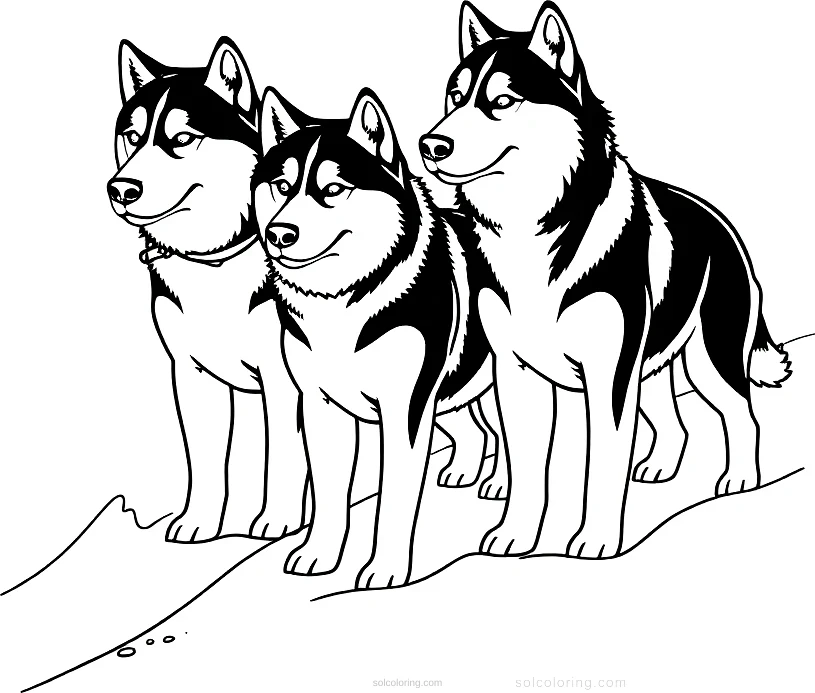 Husky Sled Dogs in Snow coloring page for kids