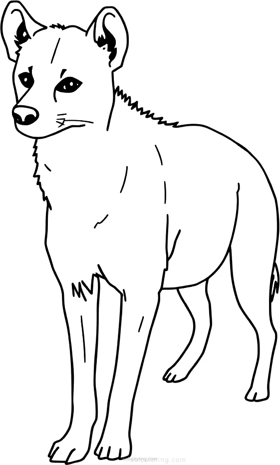Hyena coloring page for kids