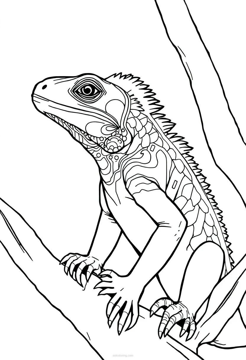 Iguana coloring page for kids