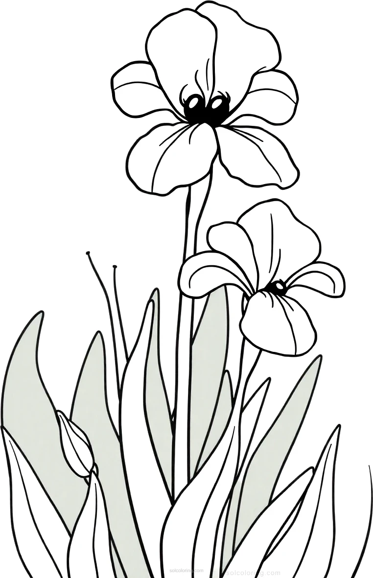 Iris Flowers in Bloom coloring page for kids