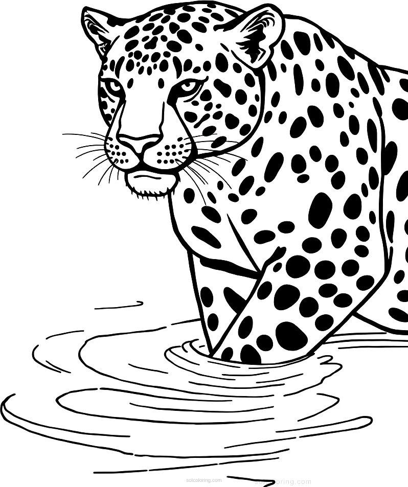 Jaguar By Water coloring page for kids