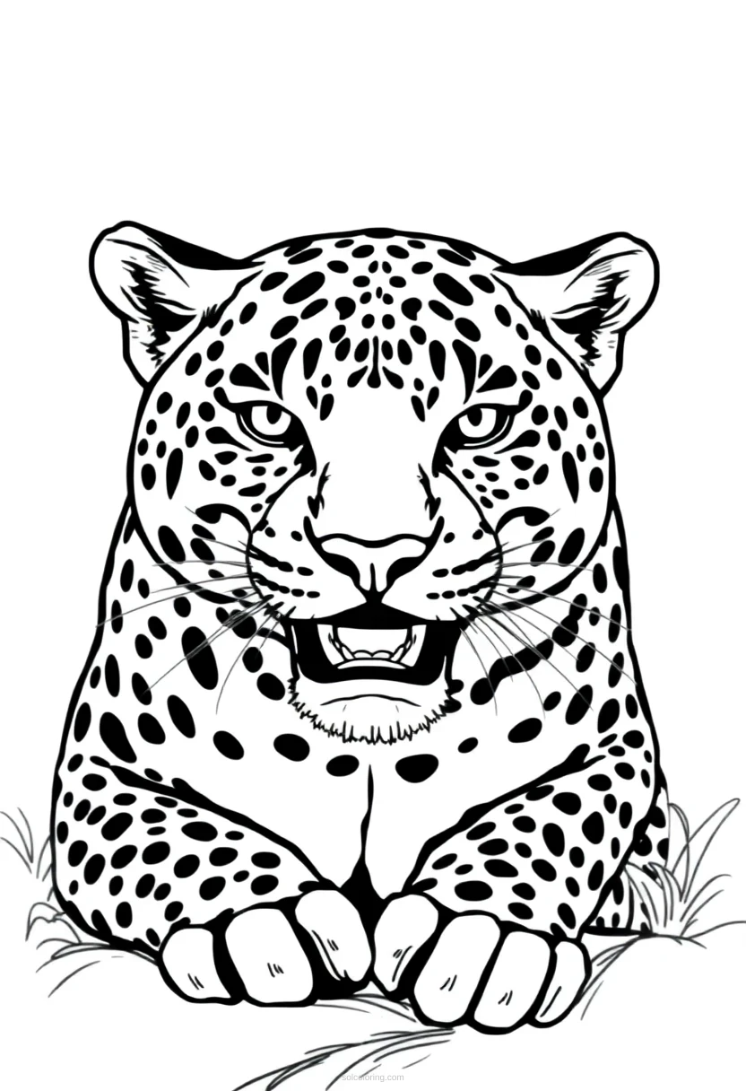 Jaguar coloring page for kids