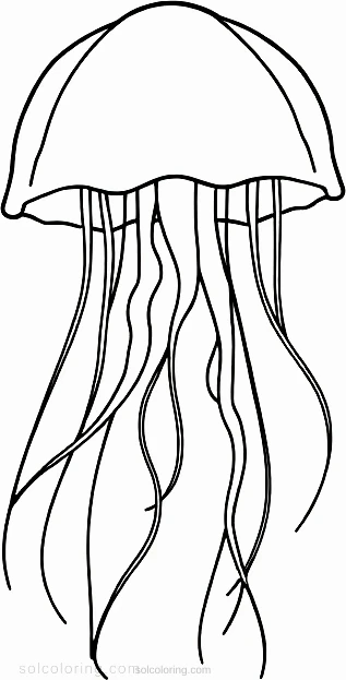 Jellyfish coloring page for kids