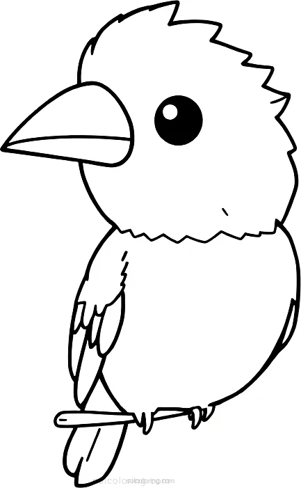 Kingfisher Parrot coloring page for kids