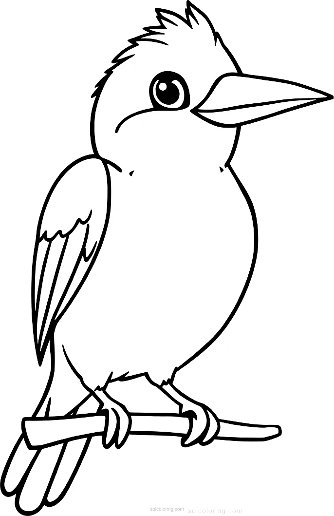 Kingfisher Parrot coloring page for kids