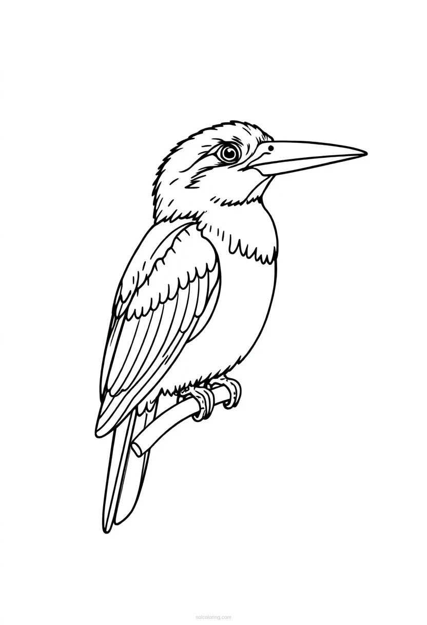 Kingfisher Parrot coloring page for kids