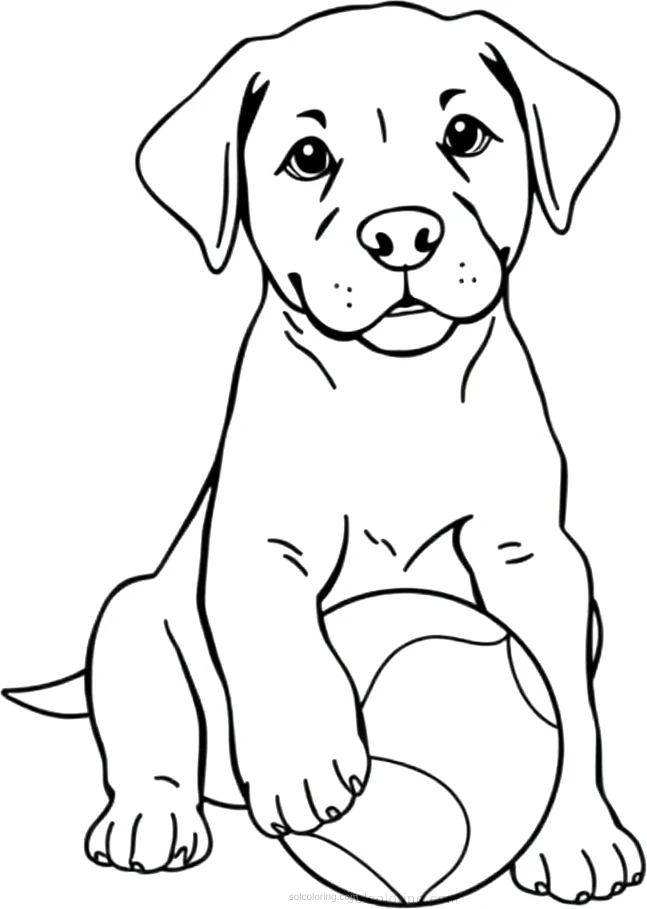 Labrador Puppy With Ball coloring page for kids