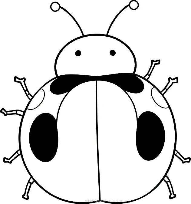 Ladybug coloring page for kids