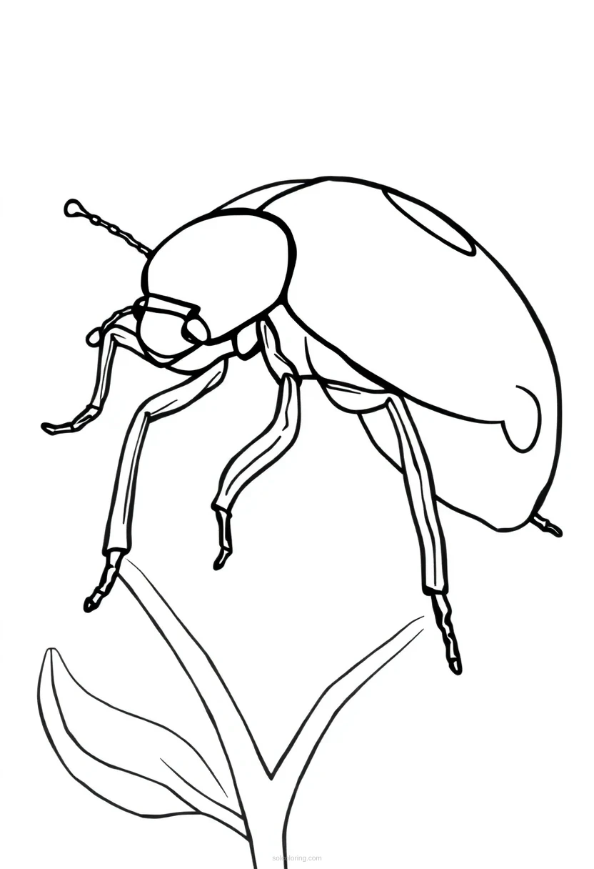 Ladybug coloring page for kids