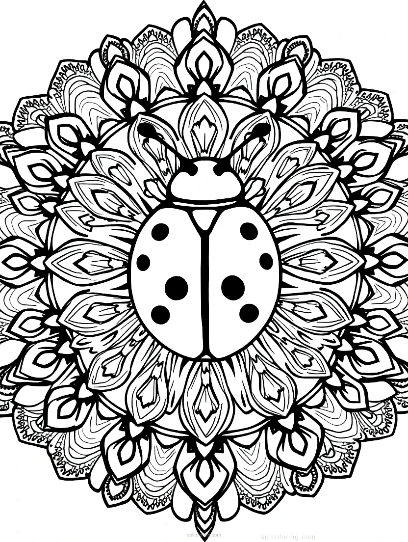 Ladybug coloring page for kids