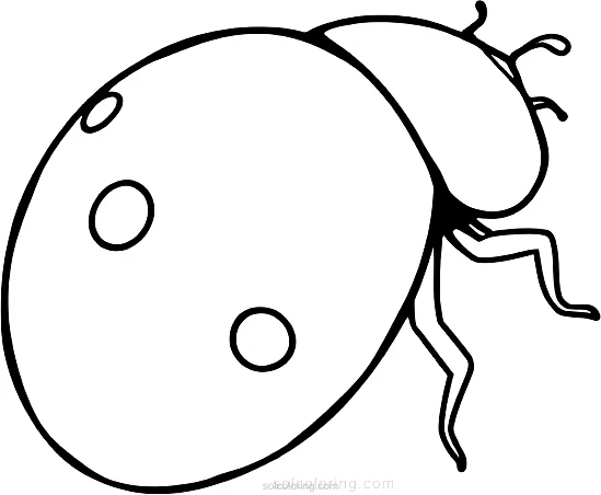 Ladybug coloring page for kids