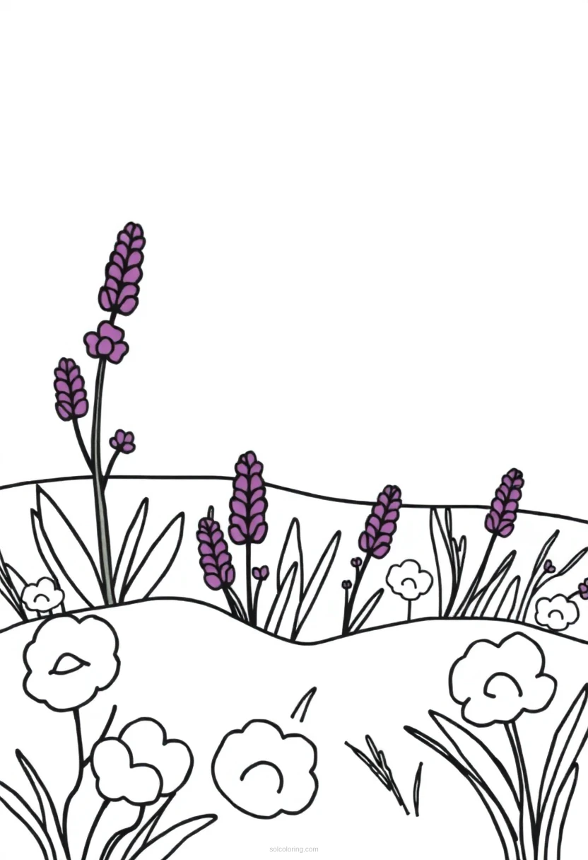 Lavender Field coloring page for kids
