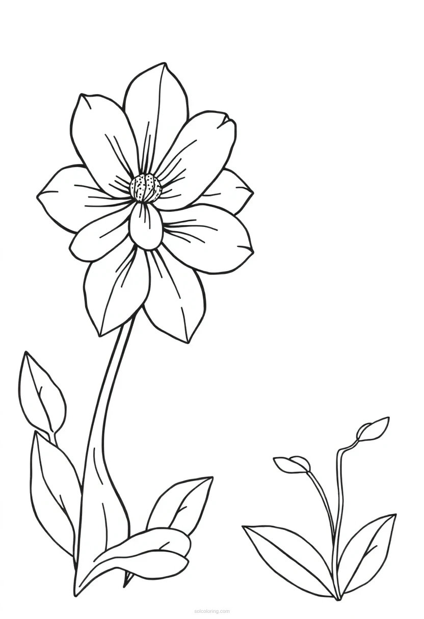 Letter F With Flower coloring pages