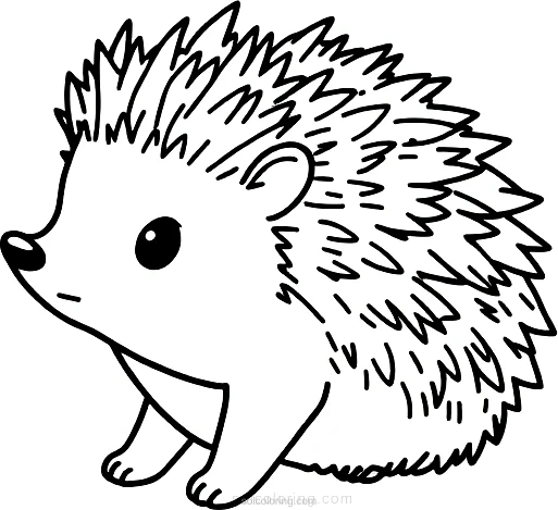 Little Hedgehog coloring page for kids