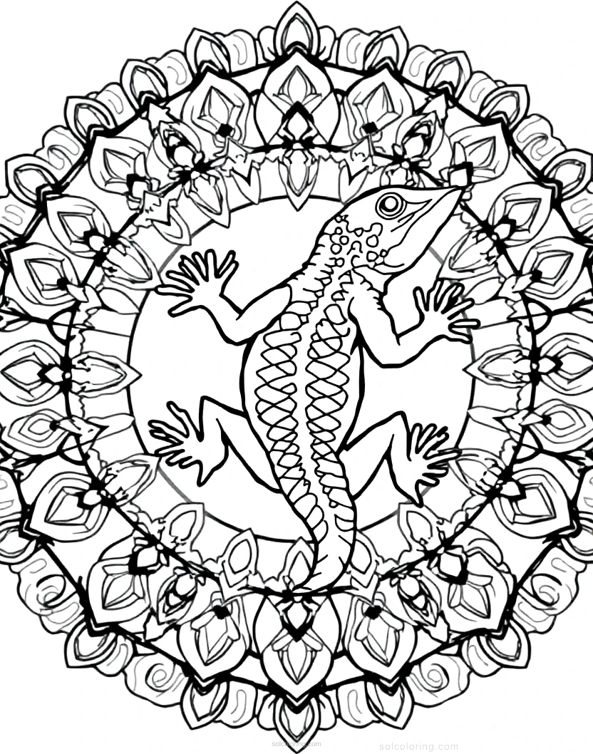 Lizard coloring page for kids