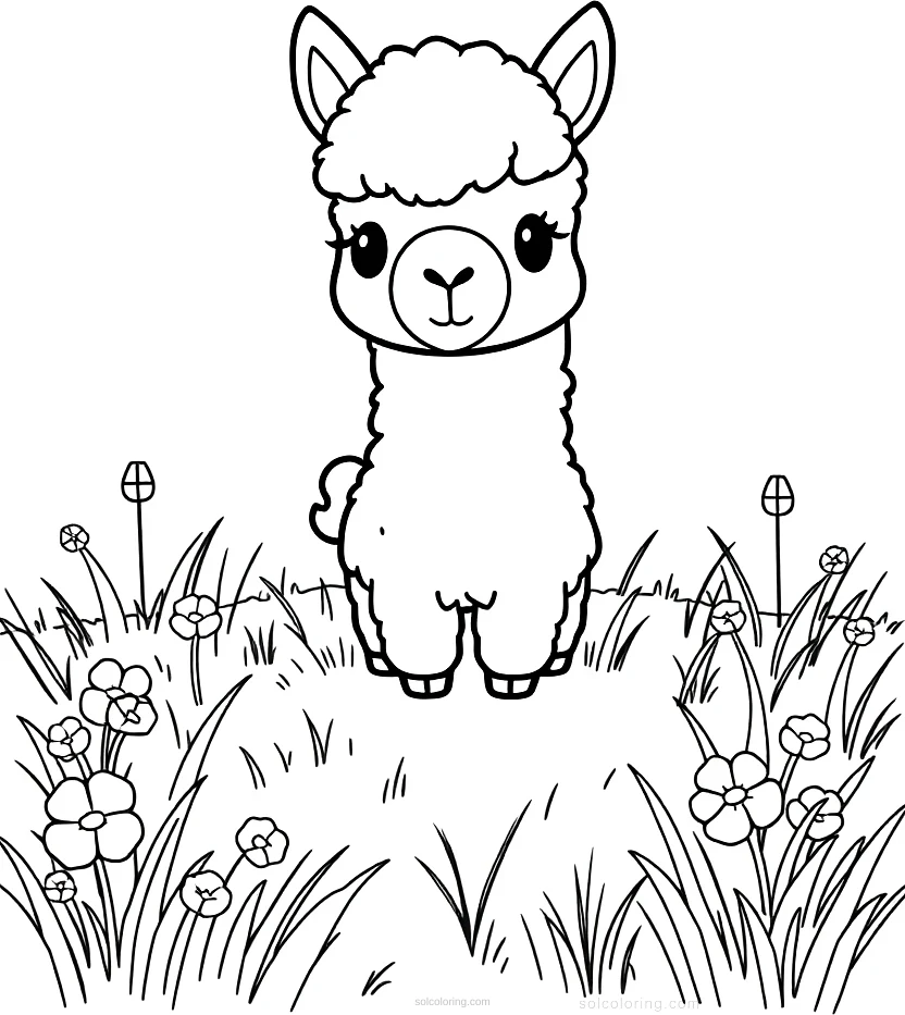 Llama in Meadow coloring page for kids