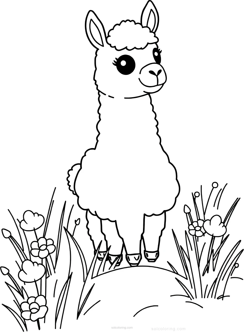 Llama in Meadow coloring page for kids