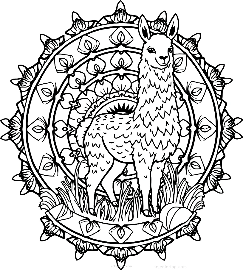 Llama in Meadow coloring page for kids