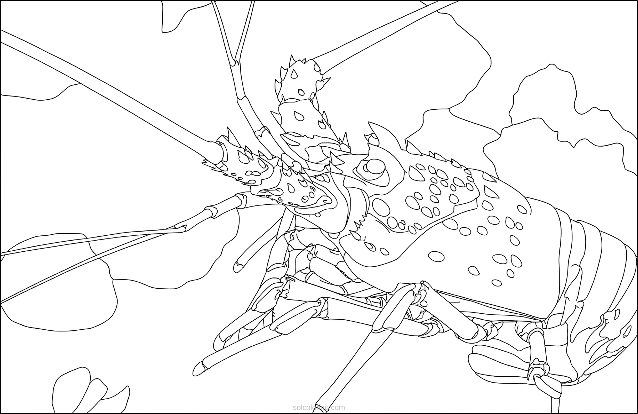 Lobster coloring page for kids