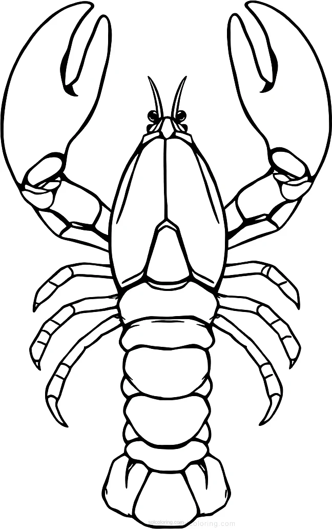 Lobster coloring page for kids