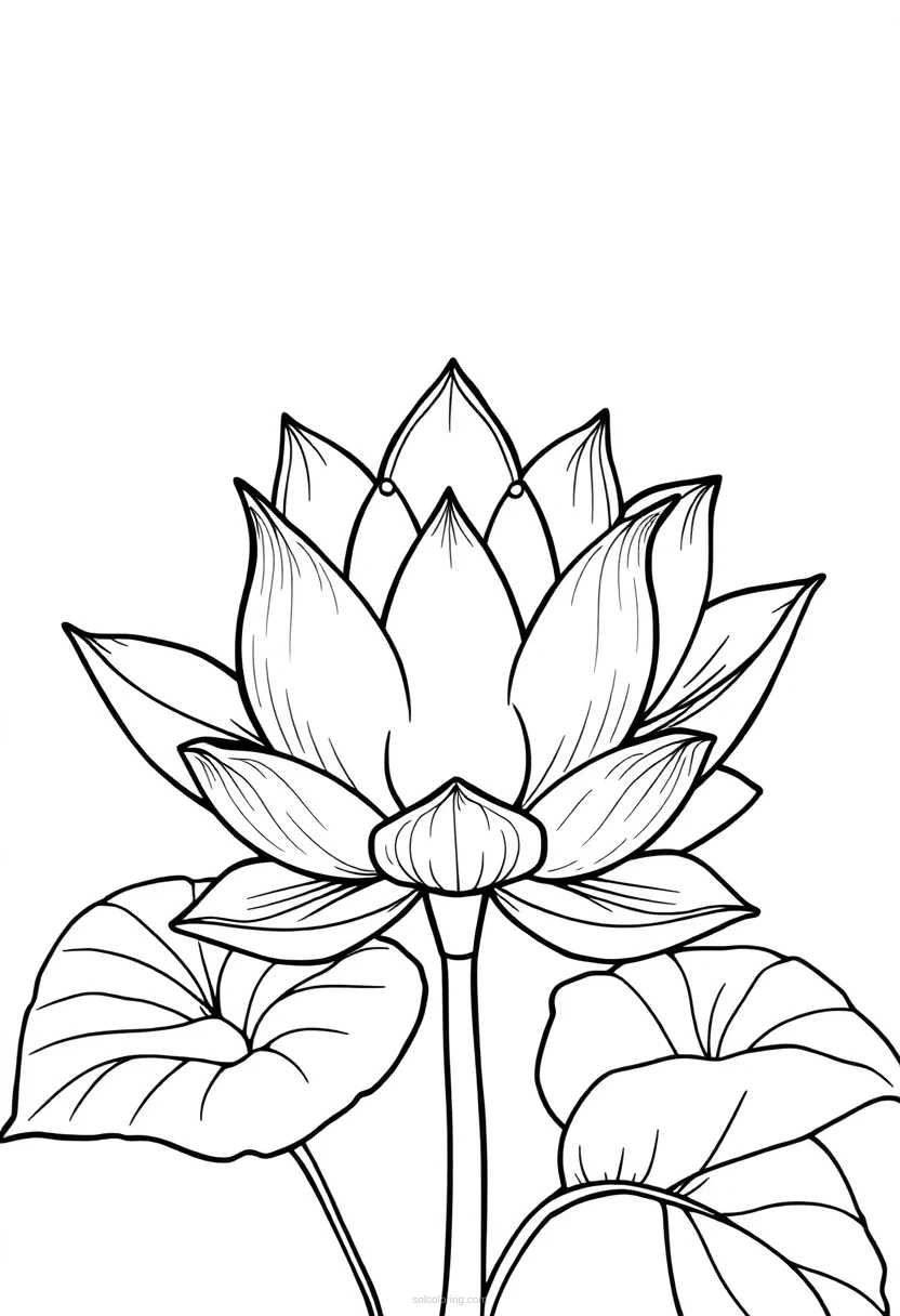 Lotus coloring page for kids