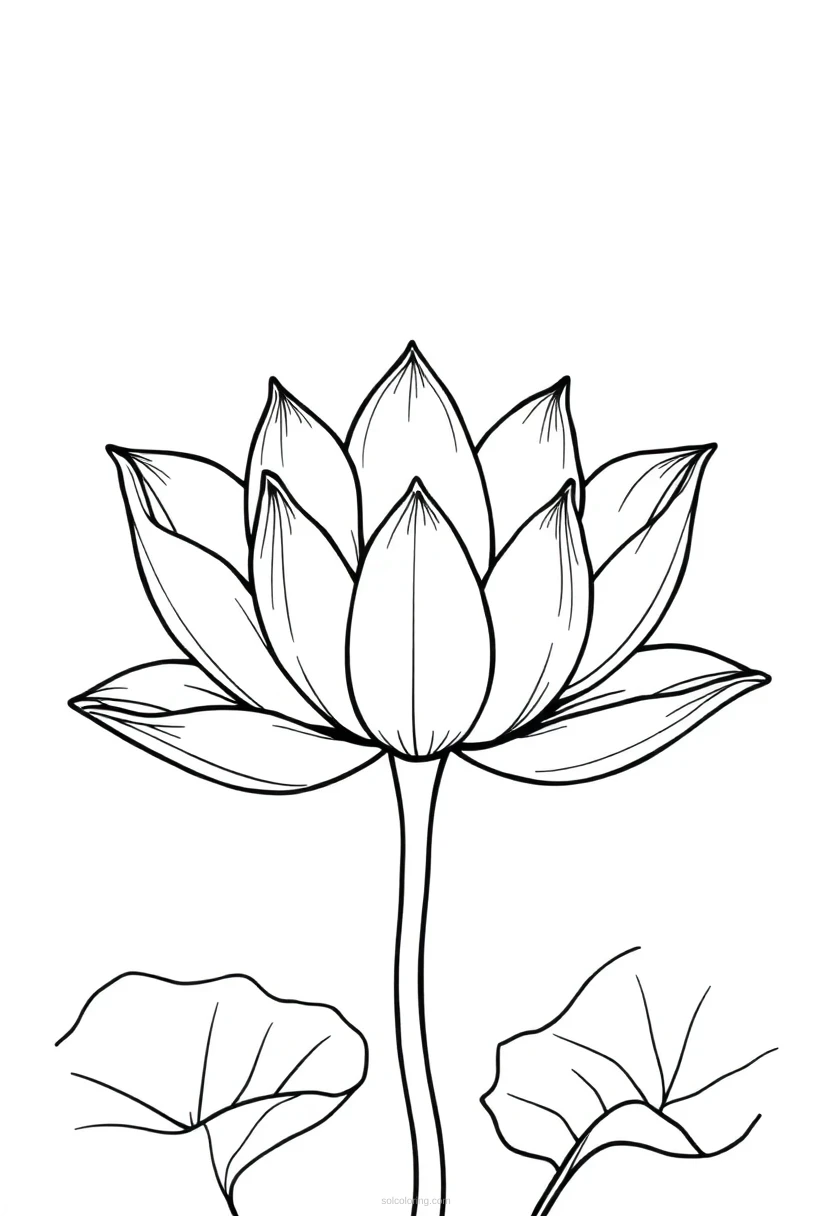 Lotus Cute Cartoon coloring page for kids
