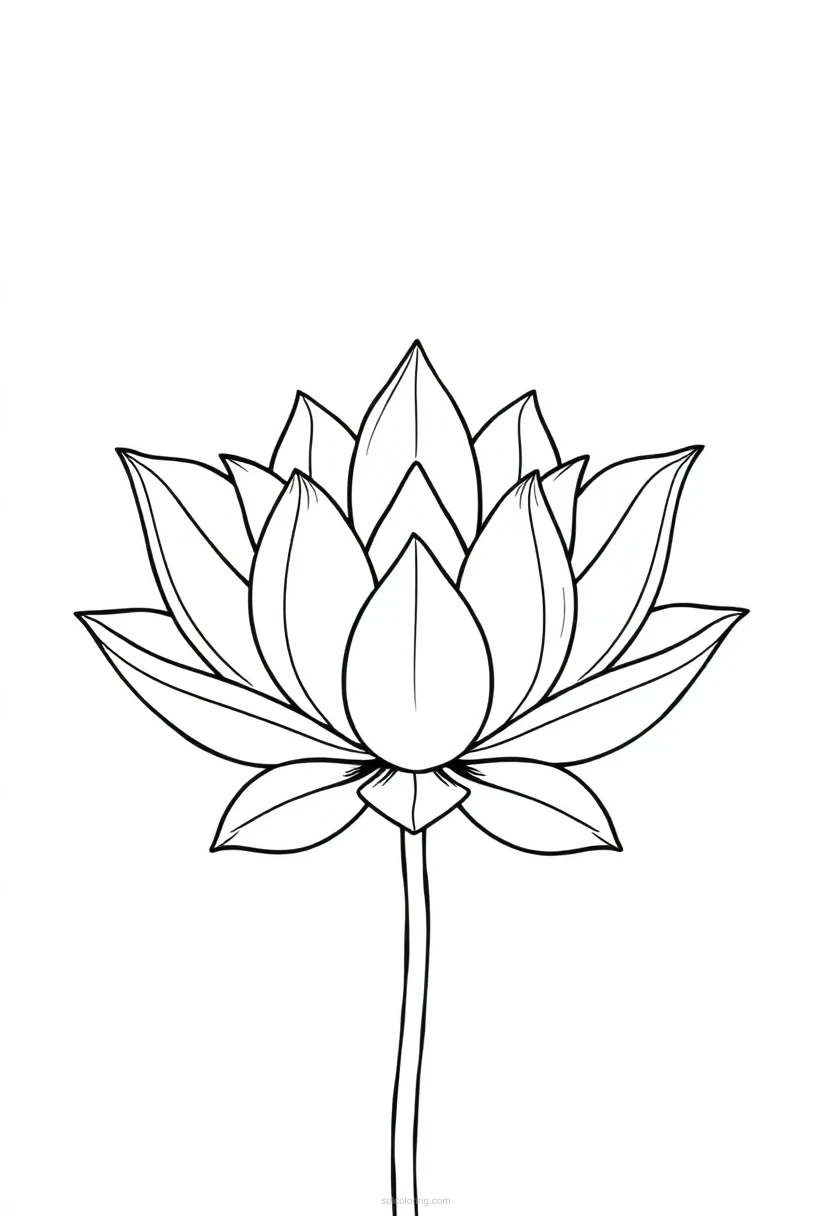 Lotus coloring page for kids