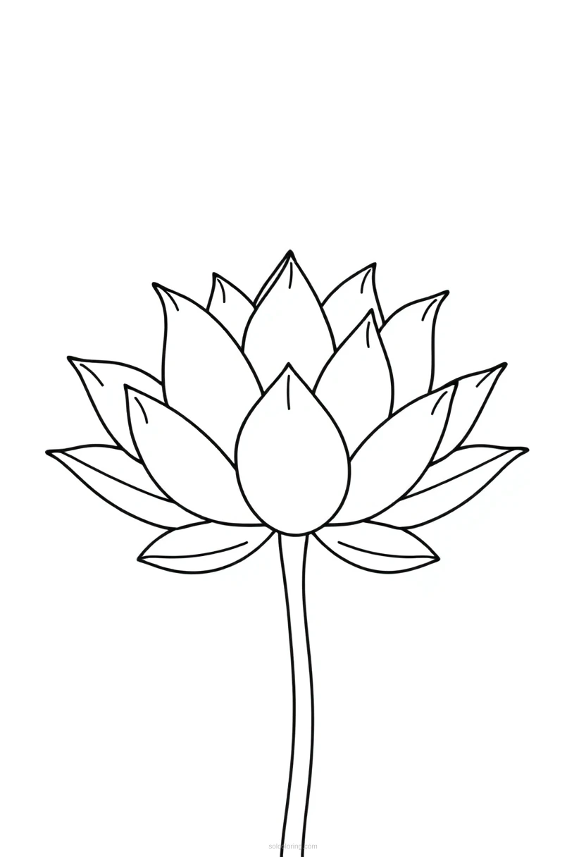 Lotus coloring page for kids