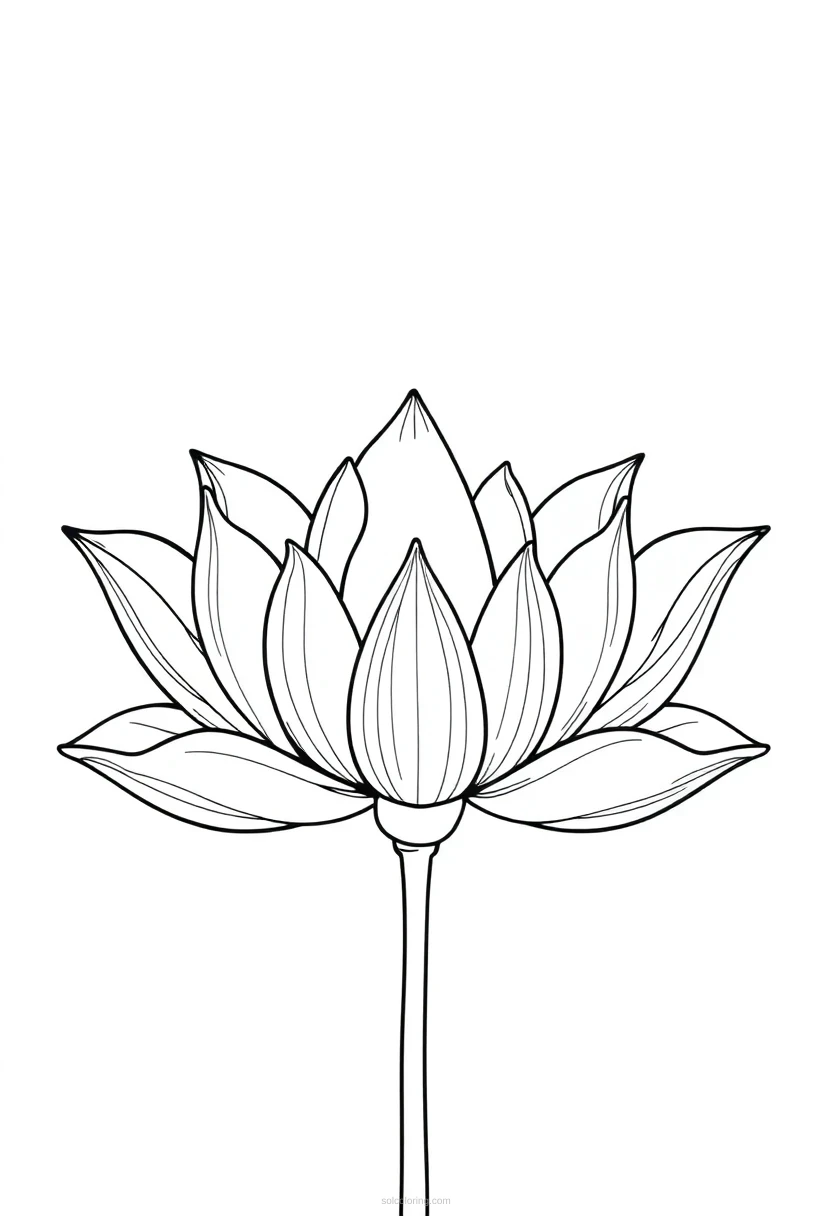 Lotus Simple coloring page for kids