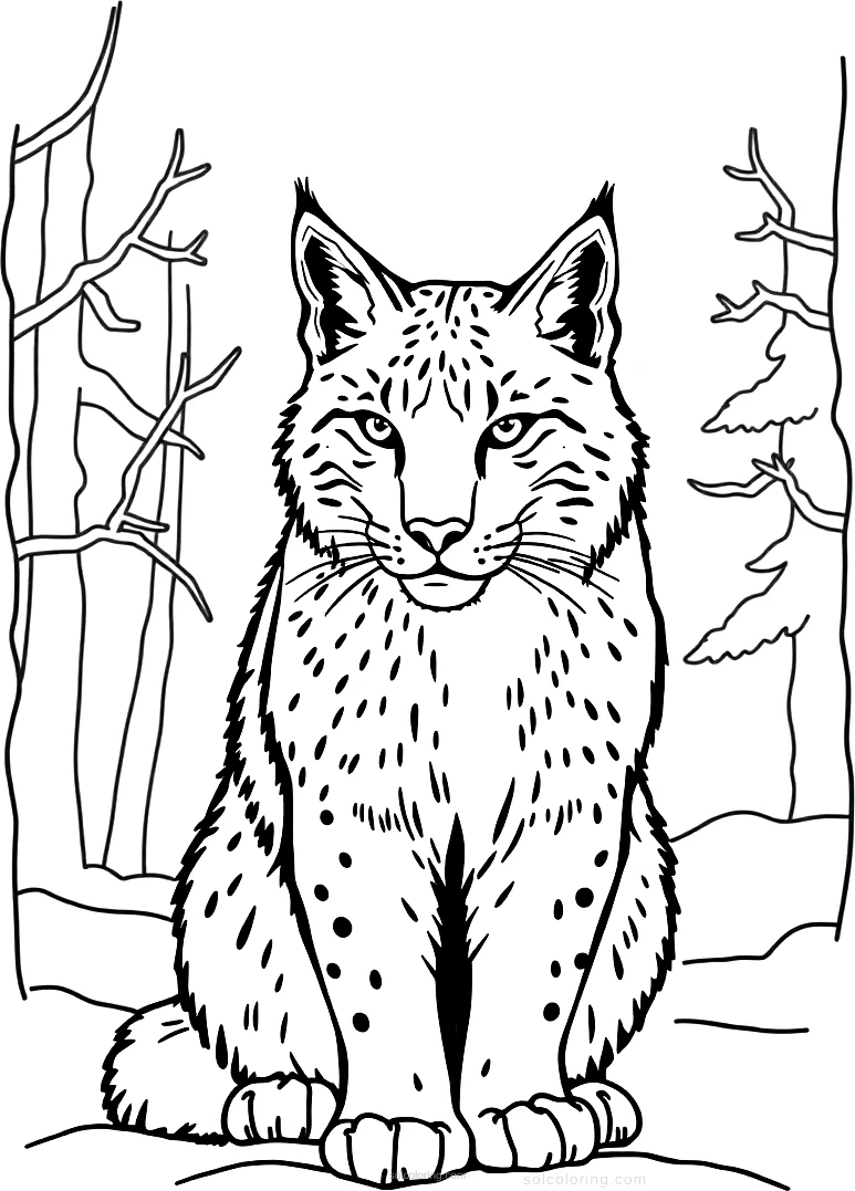 Lynx in Winter Forest coloring page for kids