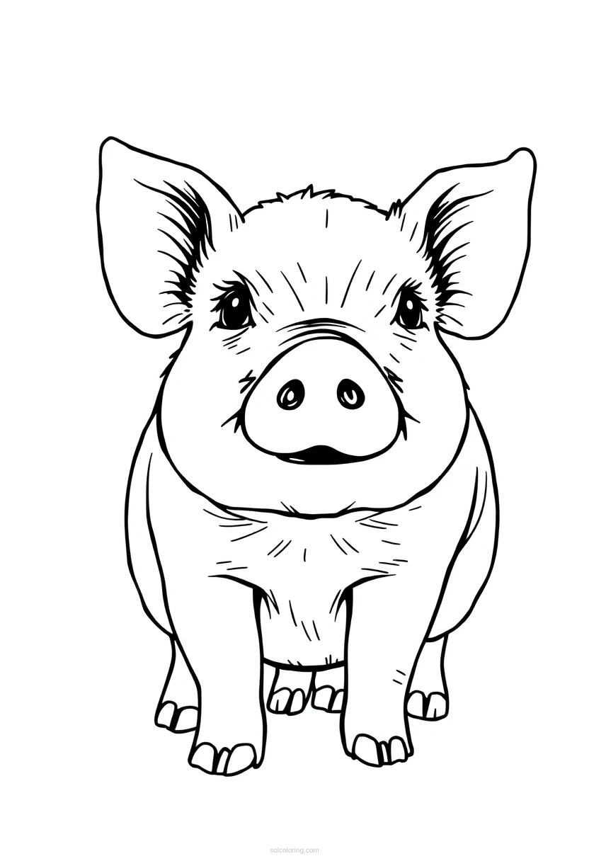 Mini Pig coloring page for kids
