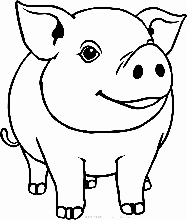 Mini Pig coloring page for kids